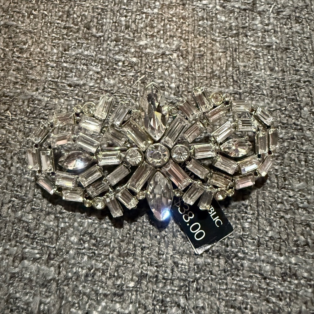 Banana Republic Celestial Cacade Crystal Brooch NWT